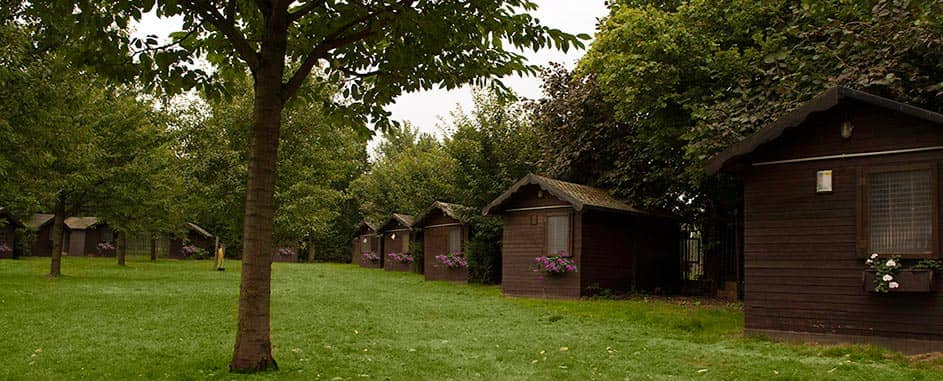 Reihe hölzerner Gartenappartements mit Blumenkästen unter alten Bäumen im Hunde-Parkhotel