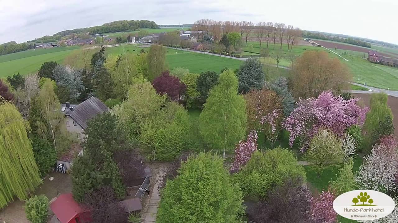 Standbild aus dem Impressionen-Video des Hunde-Parkhotels
