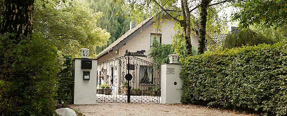 Schmiedeeisernes Tor und Auffahrt zum Hunde-Parkhotel